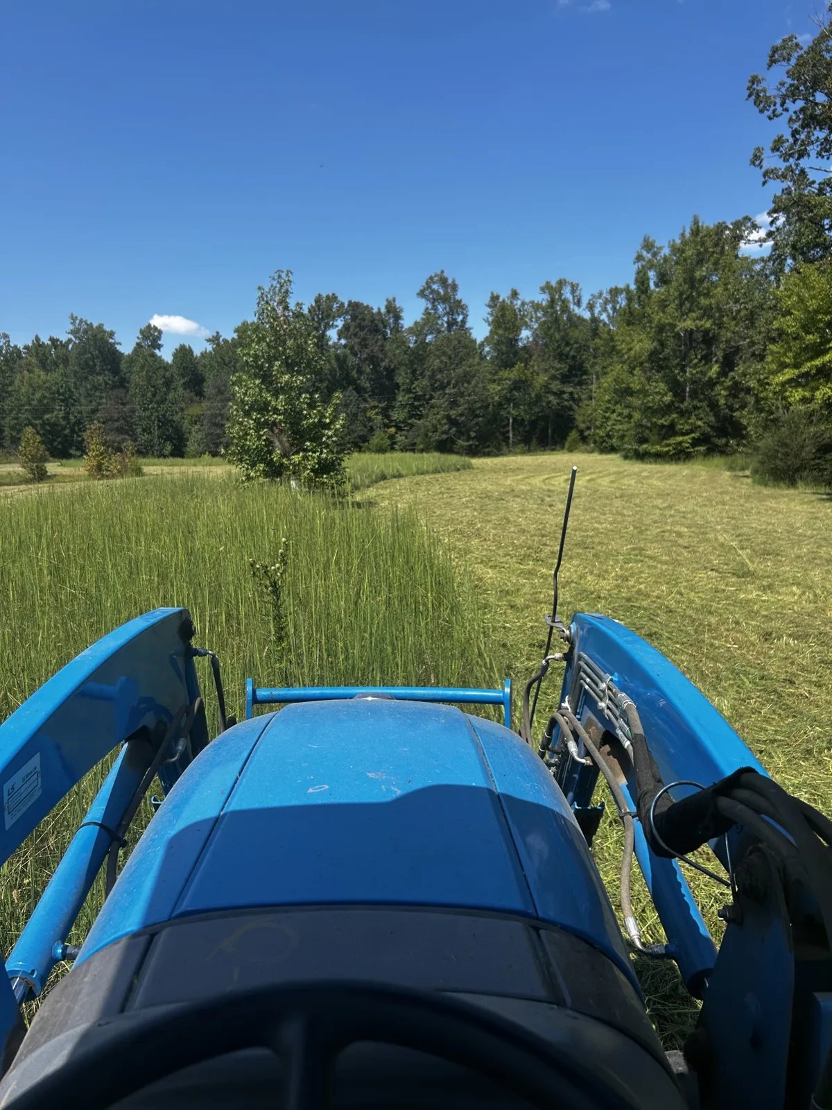 View from a blue tractor bush hogging a tall grass field toward the tree line
