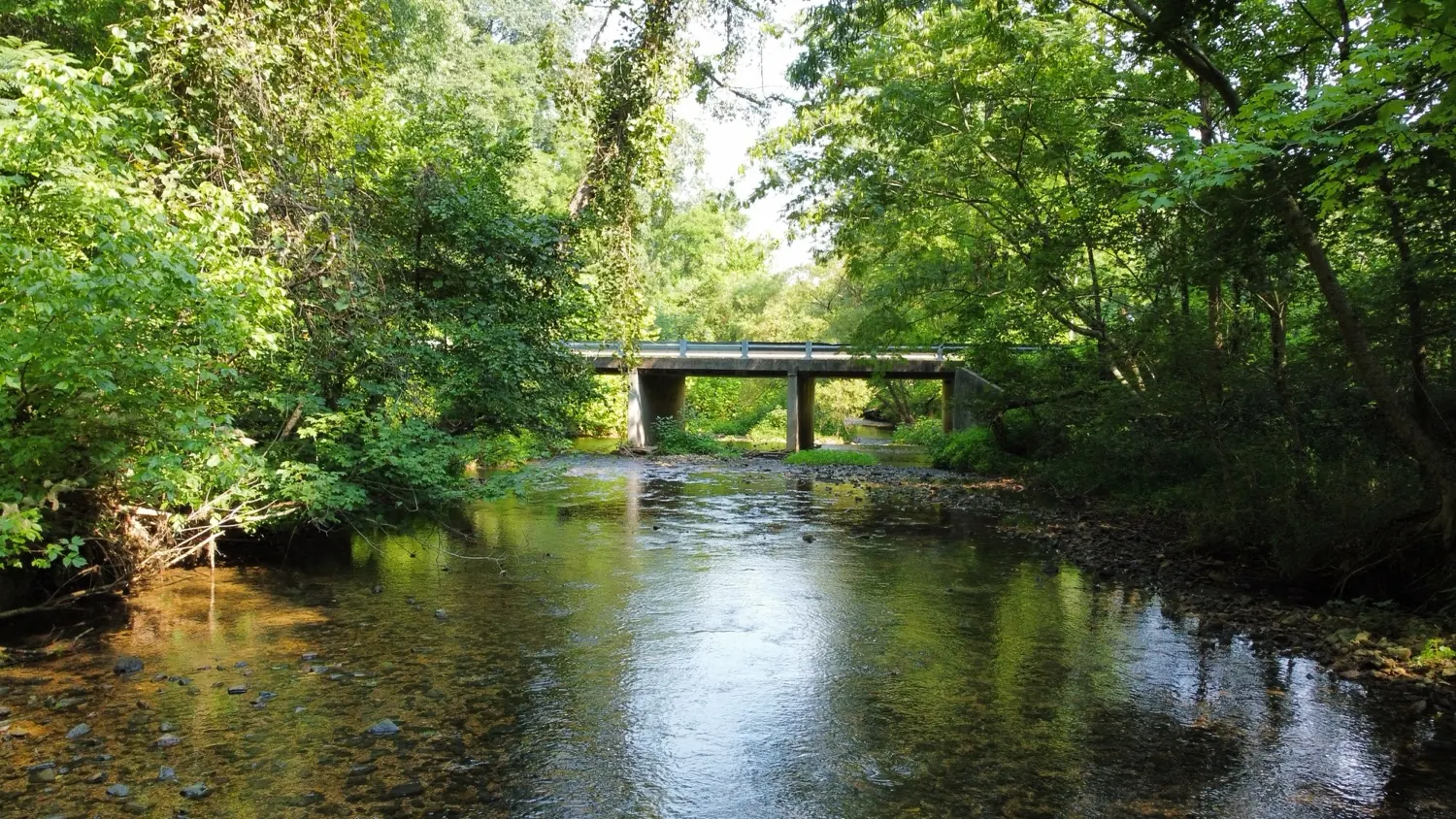 Creek and footbridge on the 84-acre Erin, TN listing