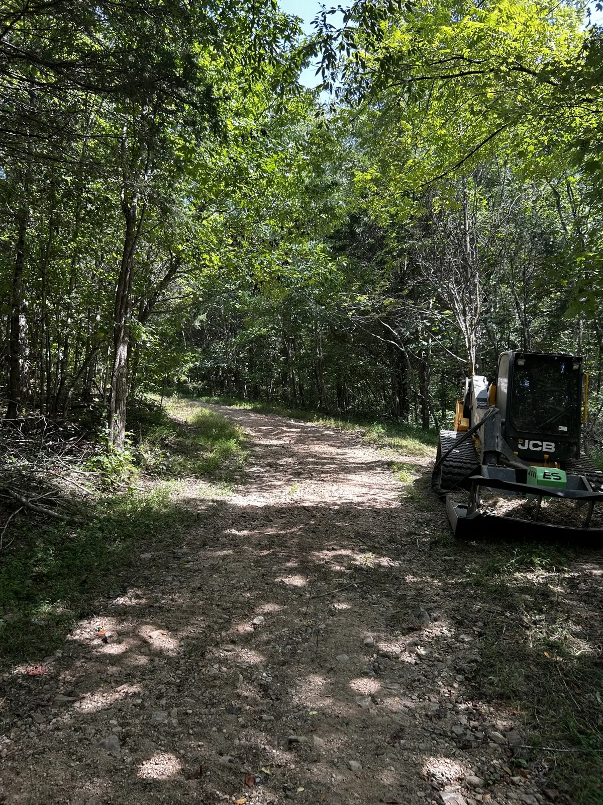 A cleared trail through the woods with a track loader