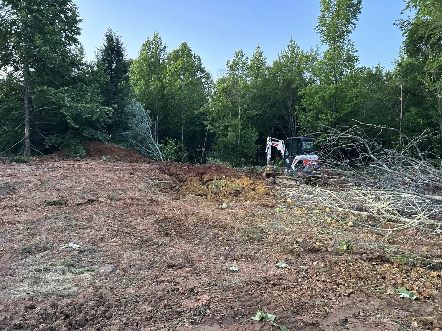 A cleared wooded lot with a mini excavator at the tree line